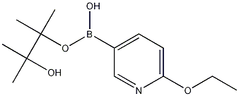 6-ETHOXYPYRIDINE-3-BORONIC ACID, PINACOL ESTER Structure