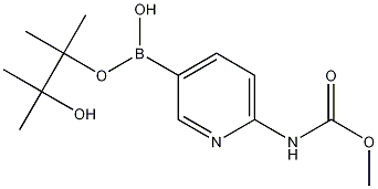 6-Methoxycarbonylaminopyridine-3-boronic acid pinacol ester 구조식 이미지