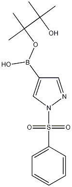 1-(Benzenesulfonyl)-1H-pyrazole-4-boronic acid pinacol ester 구조식 이미지