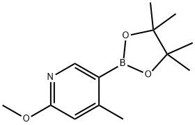 2-Methoxy-4-methyl-5-(4,4,5,5-tetramethyl-[1,3,2]dioxaborolan-2-yl)-pyridine Structure