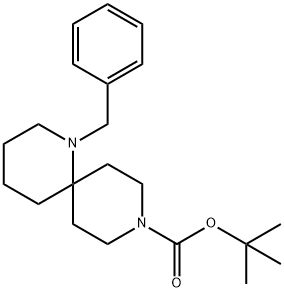1,9-Diazaspiro[5.5]undecane-9-carboxylic acid, 1-(phenylmethyl)-, 1,1-dimethylethyl ester Structure