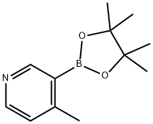 4-methyl-3-(4,4,5,5-tetramethyl-1,3,2-dioxaborolan-2-yl)pyridine 구조식 이미지