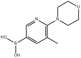 5-methyl-6-morpholinopyridin-3-ylboronic acid Structure