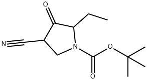 tert-부틸4-시아노-2-에틸-3-옥소피롤리딘-1-카르복실레이트 구조식 이미지