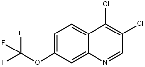 3,4-Dichloro-7-trifluoromethoxyquinoline Structure
