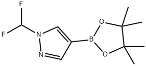 1206640-82-5 1-(difluoromethyl)-4-(4,4,5,5-tetramethyl-1,3,2-dioxaborolan-2-yl)-1H-pyrazole