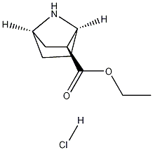 (1S,2S,4R)-ETHYL 7-AZABICYCLO[2.2.1]HEPTANE-2-CARBOXYLATE HYDROCHLORIDE Structure