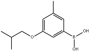 3-Isobutoxy-5-methylphenylboronic acid Structure
