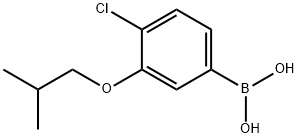 4-클로로-3-이소부톡시페닐보론산 구조식 이미지