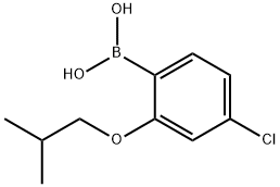 4-Chloro-2-isobutoxyphenylboronic acid 구조식 이미지