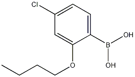 2-부톡시-4-클로로페닐보론산 구조식 이미지