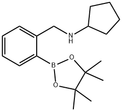 N-(2-(4,4,5,5-테트라메틸-1,3,2-디옥사보롤란-2-일)벤질)시클로펜탄아민 구조식 이미지