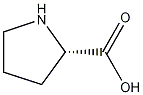 L-Proline Structure