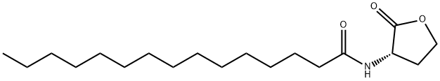 N-PENTADECANOYL-L-HOMOSERINE LACTONE Structure