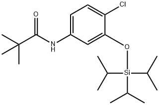 N-[4-클로로-3-(트리이소프로필실릴옥시)페닐]-2,2-디메틸프로판아미드 구조식 이미지