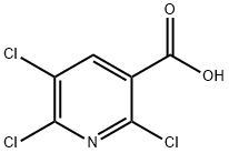 2,5,6-tetrachloropyridine Structure