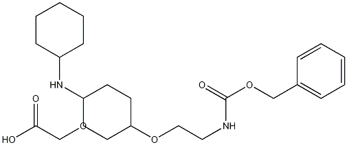 Dicyclohexylamine 3-oxo-1-phenyl-2,7,10-trioxa-4-azadodecan-12-oate 구조식 이미지