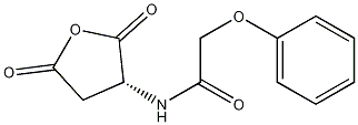 (R)-N-(2,5-dioxotetrahydrofuran-3-yl)-2-phenoxyacetamide 구조식 이미지