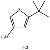3-아미노-5-tert-부틸티오펜염산염 구조식 이미지