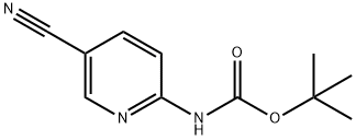 902837-44-9 2-(BOC-AMINO)-5-CYANOPYRIDINE