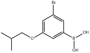 3-Bromo-5-isobutoxyphenylboronic acid Structure