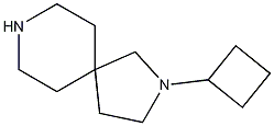 2,8-Diazaspiro[4.5]decane, 2-cyclobutyl- Structure