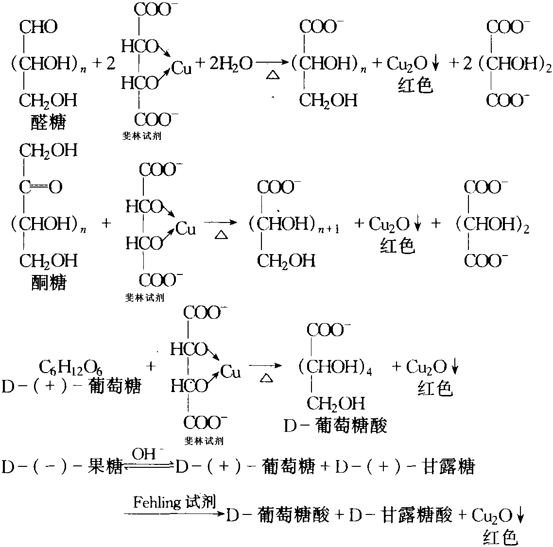 斐林试剂与还原糖反应生成红色氧化亚铜沉淀