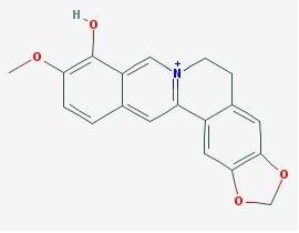 小檗红碱化学结构式