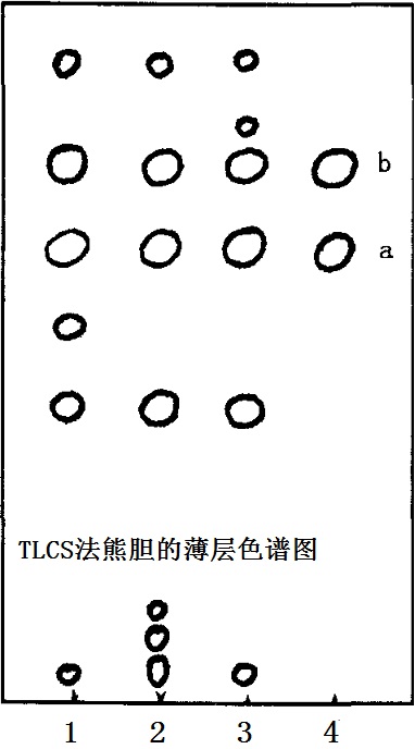 TLCS法熊胆的薄层色谱图
