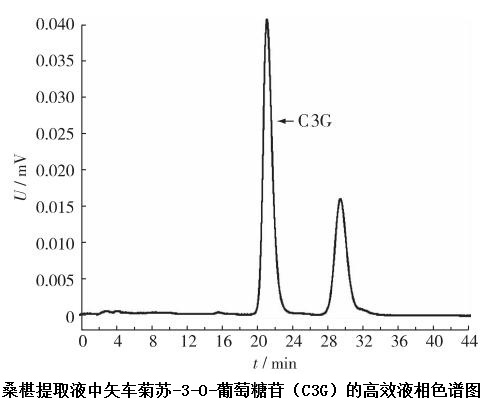 桑椹提取液中矢车菊素-3-O-葡萄糖苷（C3G）的高效液相色谱图