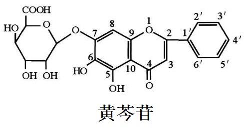 黄芩苷 结构式
