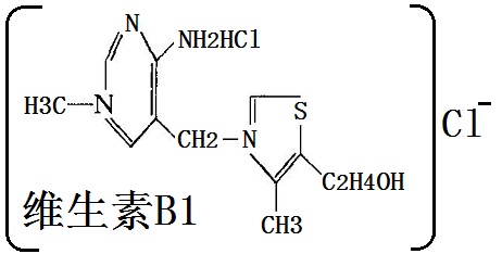 维生素 B1结构式