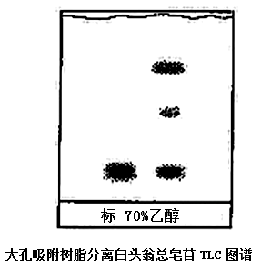 大孔吸附树脂分离白头翁总皂苷TLC图谱