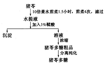 猪苓多糖提取