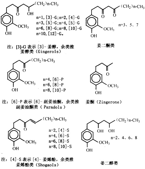 姜辣素类的化学结构式