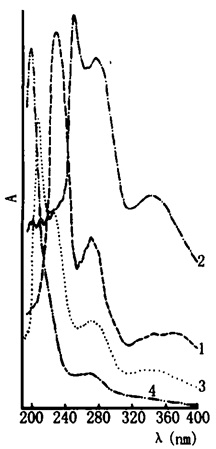 半夏的紫外光谱图