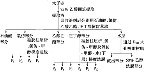 太子参皂苷A、尖叶丝石竹皂苷D提取