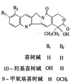 结构式