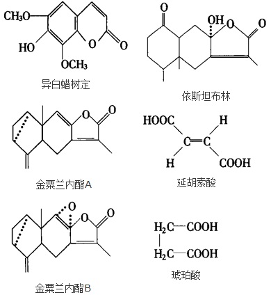 结构式