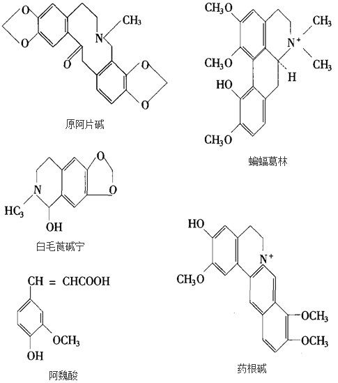 结构式