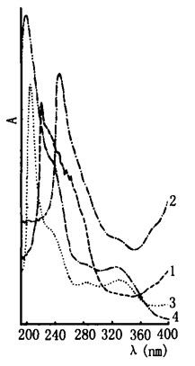 马鞭草的紫外光谱图