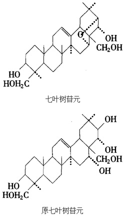 结构式