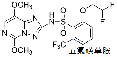 五氟磺草胺 结构式
