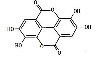  鞣花酸的化学结构式