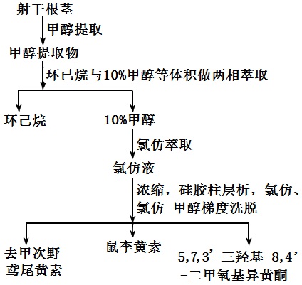 鼠李黄素等成分的提取分离