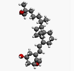 Calcitriol-dimensional molecular structure