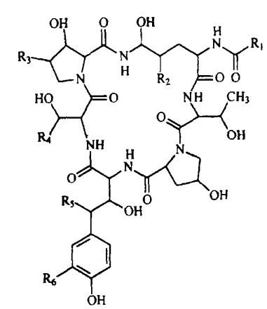 棘白菌素类的环状脂肽