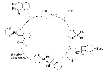 钯催化的环丁醇开环反应2