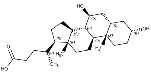 ursodeoxycholic acid structure