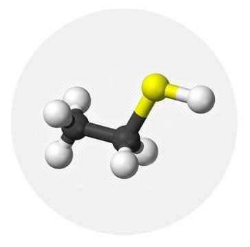 乙硫醇EM在农药生产中的用途